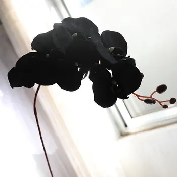 3Pcs 100CM Hosszú, Fekete Selyem Phalaenopsis művirágok Vintage Pillangó Orchidea Hamis Virág Esküvői lakberendezési 2021