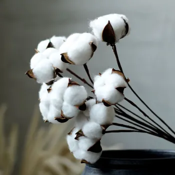 Természetesen Szárított Pamut, Fehér Virágok Haza Dekoratív Mesterséges Virágos Ág Menyasszonyi Koszorúslány Csokor