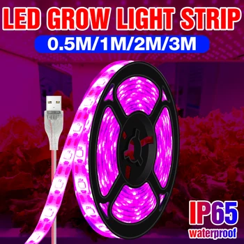 USB Nő Könnyű LED Teljes Spektrumú Virág, Növény Növekedési Lámpa Csík 0,5 M 1M 2M 3M Üvegházhatású Virág Vetőmag Növény LED Fitolampy